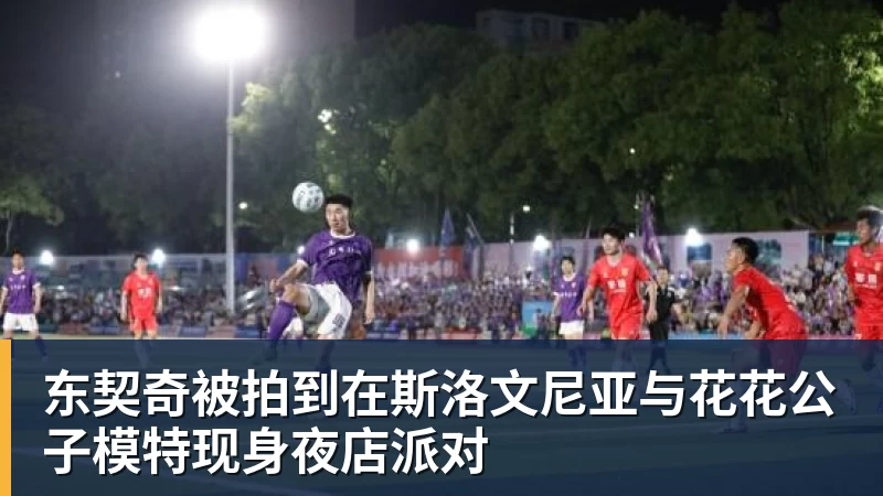 德甲小镇球队为何选择熊猫当吉祥物? - v66体育 · 权威体育数据平台